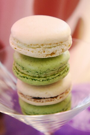 ちっぴーH22.3.29 017.jpg