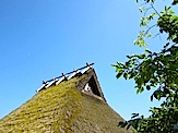 IMG_2627.JPG