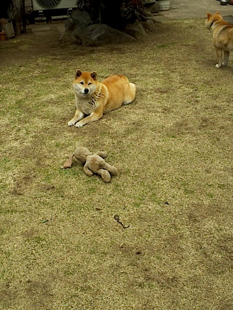 120407_131816.jpg