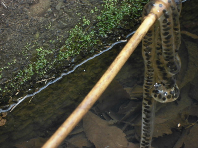 CIMG0156.JPG
