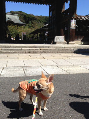 建長寺前