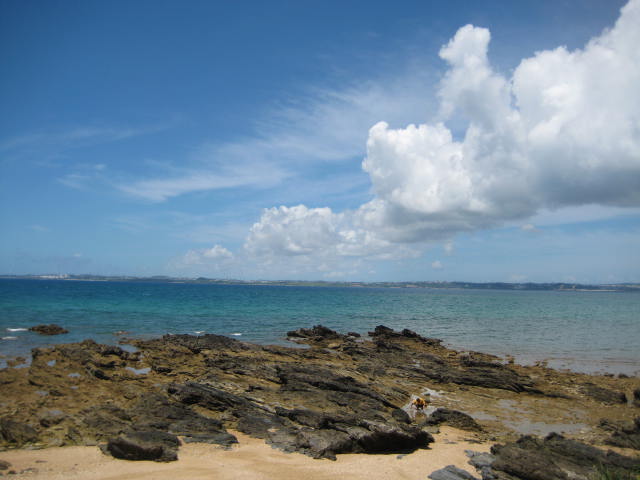 IMG_3232.JPG