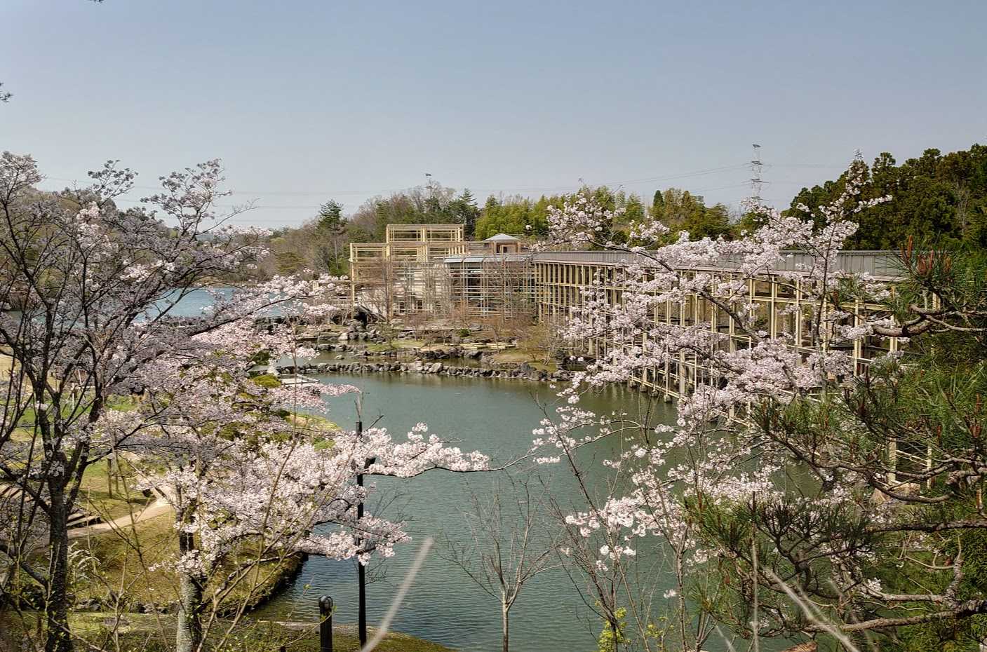 3月楽歩会 けいはんな記念公園 歩人のたわごと 楽天ブログ