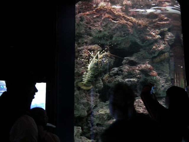 DSCF9175.JPG