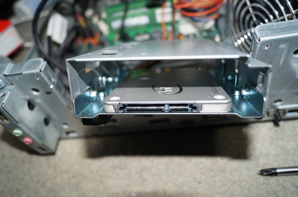 RDSC08667_R_R.JPG