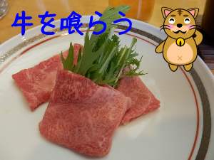 P6060058.png