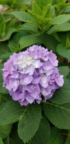 rblog-20180605094918-01.jpg