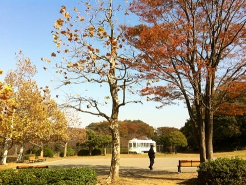 久良岐公園の紅葉