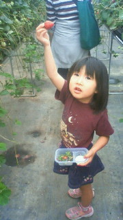 201205121020001.jpg