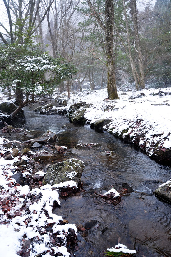 雪２