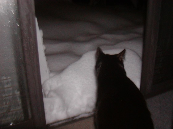 yuki2_20140214