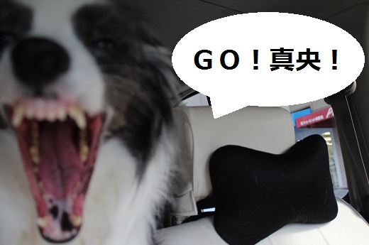 真央