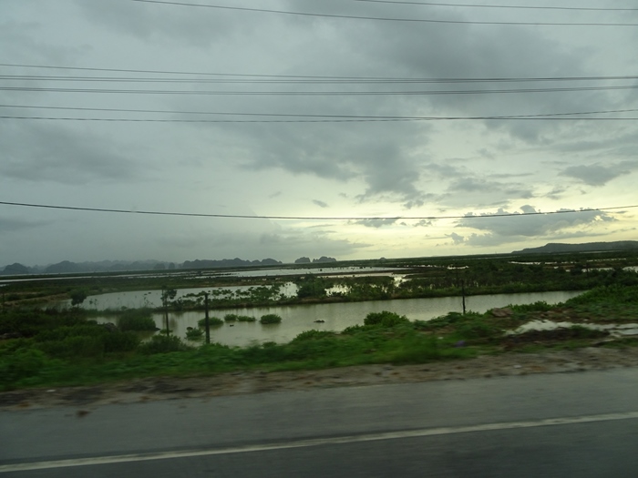 DSC09452_R.JPG