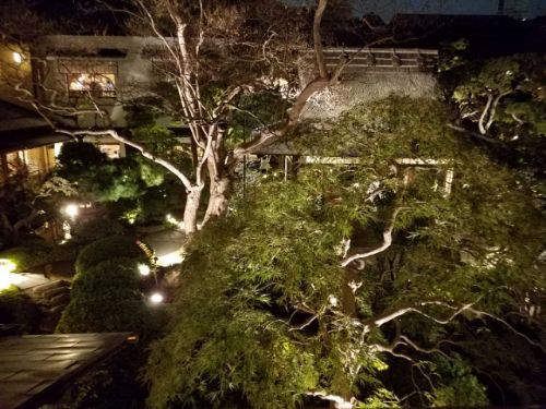 rblog-20181110163405-02.jpg