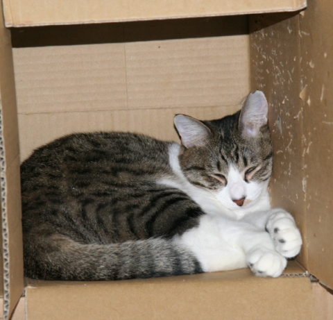 20121224ｷｵ02.jpg