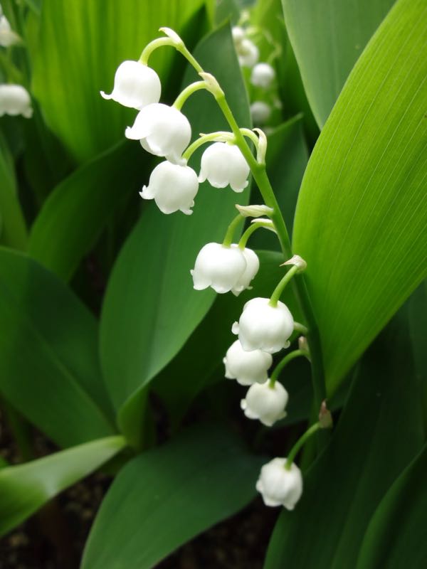 rblog-20150503114814-01.jpg