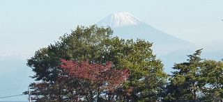 P1260035-ass.jpg