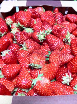 20120303-hinamatsuri
