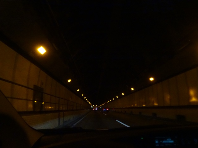 DSC00445_R.JPG
