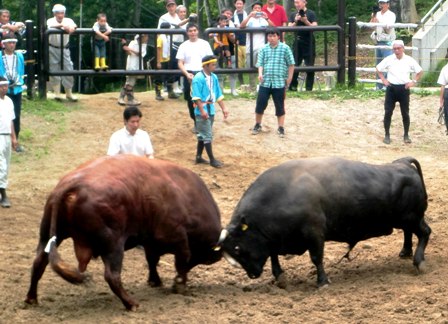 052 のコピー.jpgddd.jpg