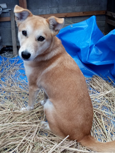 20131204_094810 (375x500).jpg