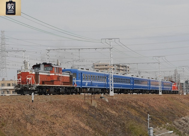 115.JPG