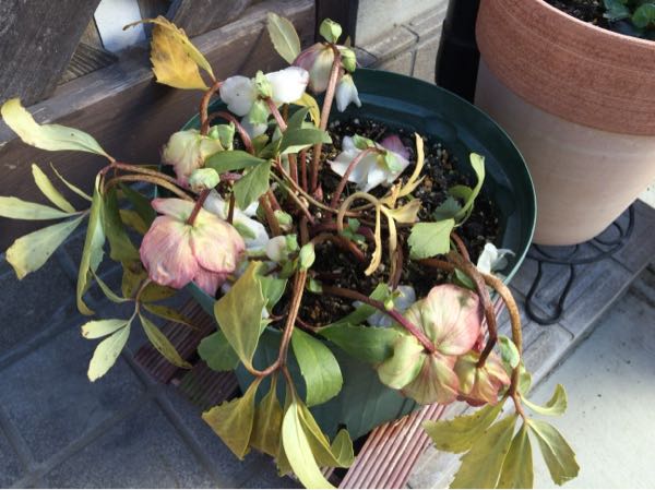rblog-20160129215042-03.jpg