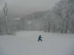 2013_010450039.JPG