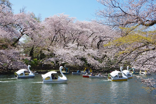 井の頭恩賜公園にて