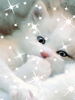 16 - ssswwwwq.gif