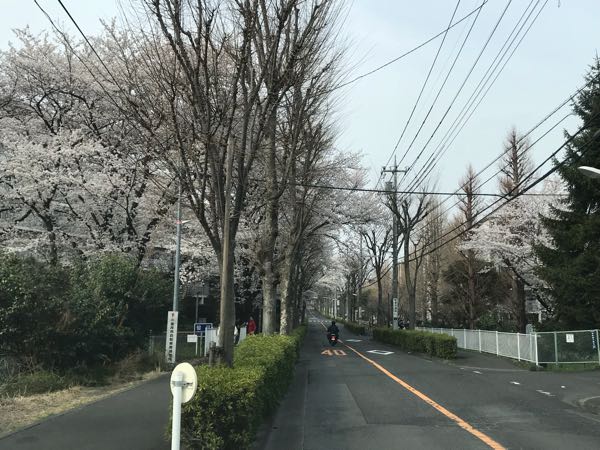 rblog-20180329004225-01.jpg