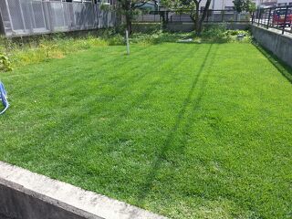 rblog-20140814091957-00.jpg