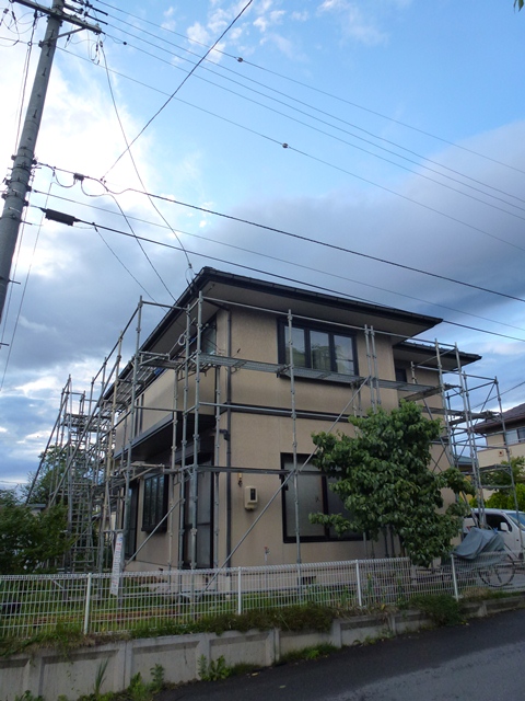 P1010457 - コピー.JPG