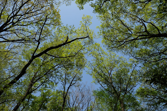 2016 04 15_3188.jpg