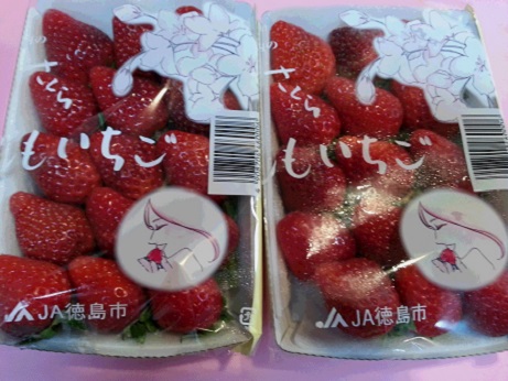 20160407_204048.jpg