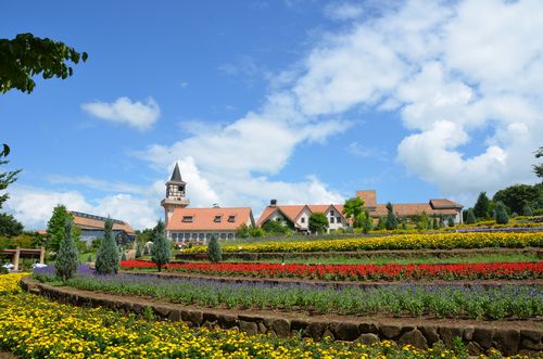 DSC_0710.JPG