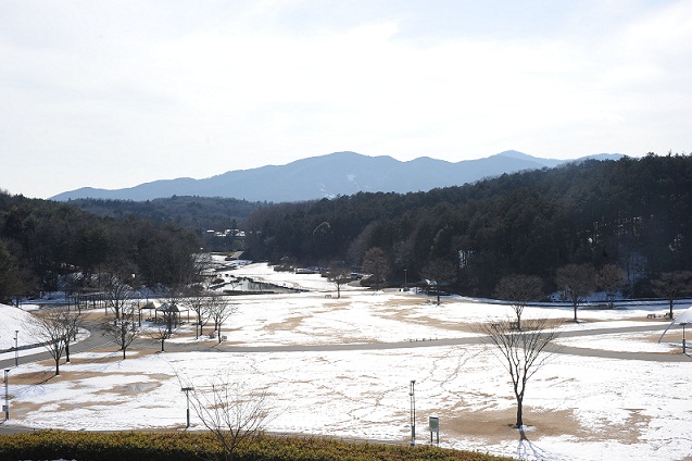 2013.1.17 006.JPG