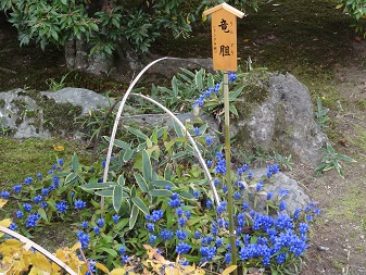 天竜寺７.jpg