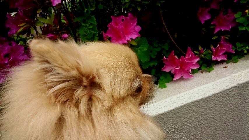 160427_0848-01.jpg