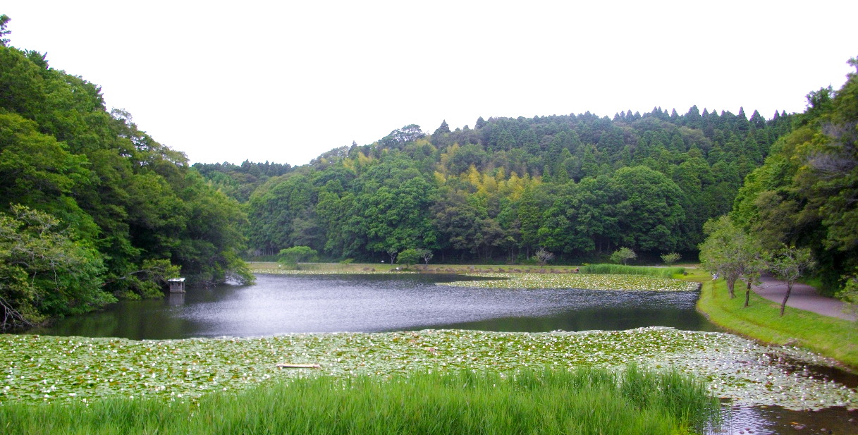 昭和の森