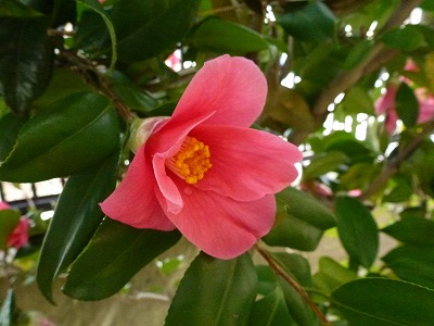 P1020100.jpg