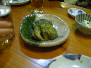 DSCN529420121204071525.jpg