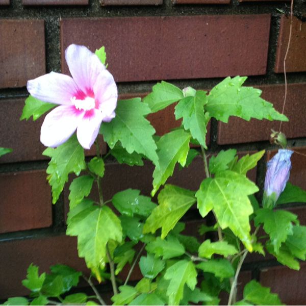 rblog-20140721212529-02.jpg