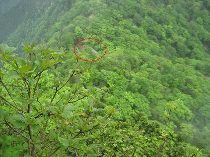 行者還岳山頂より行者還小屋を望む.JPG