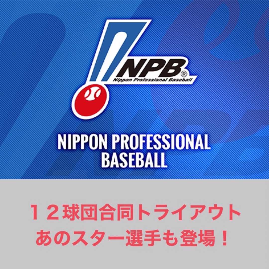 プロ野球全般 １２球団合同トライアウトあのスター選手も登場 滝沢villageの野球ブログ 楽天ブログ