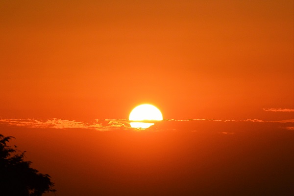 パルテール窓から