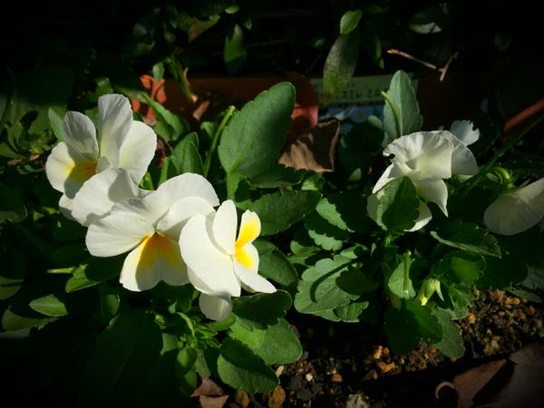 rblog-20151025172805-01.jpg
