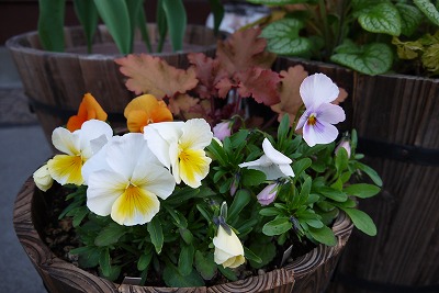 P1000235.jpg