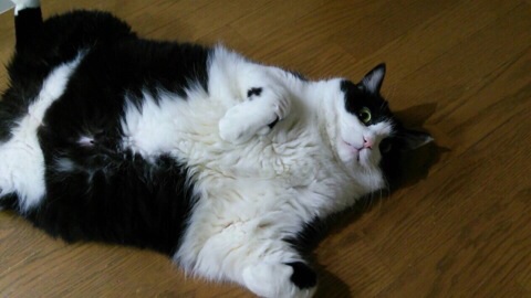 image.jpg