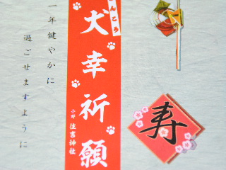 SSC_4825.JPG